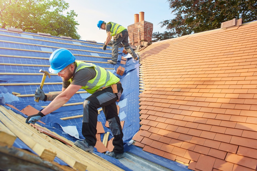 Eco-Friendly Roof Installation Options for a Greener Home